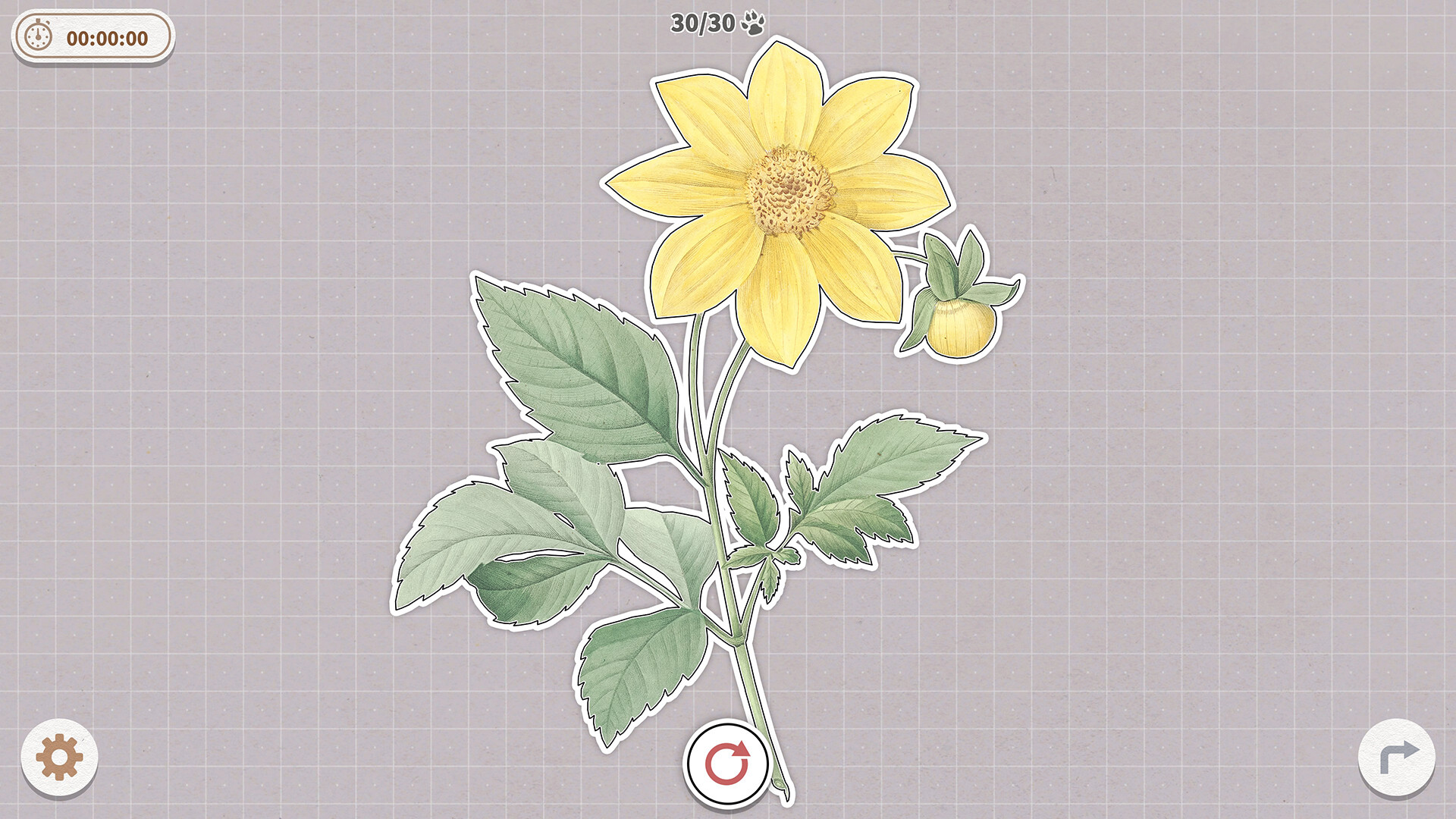 挤在一起的植物/Plants Huddled Together