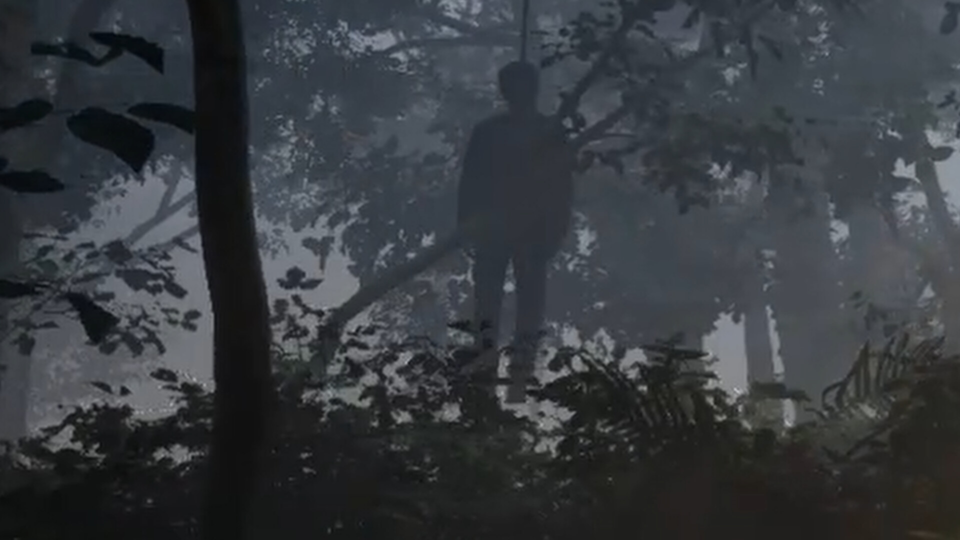 雾锁温泉/Misty Onsen