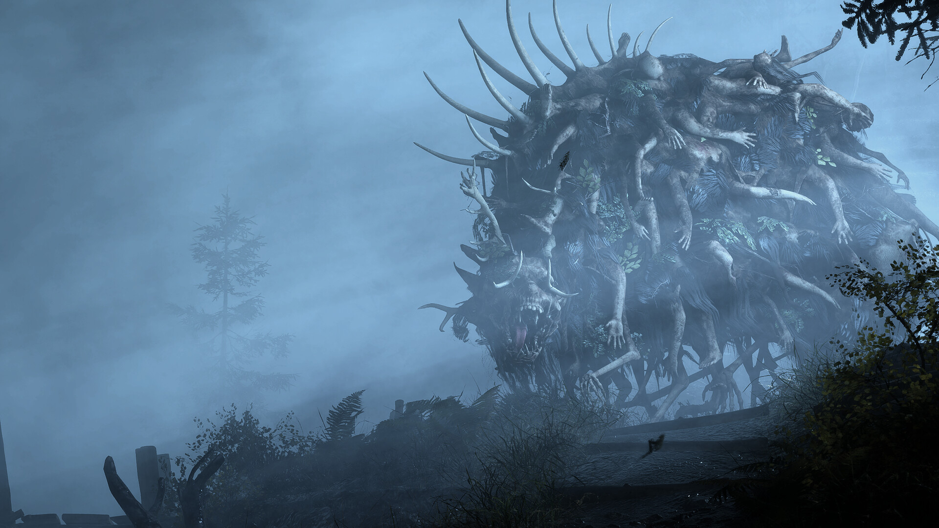 荒凉避难所/Bleak Haven