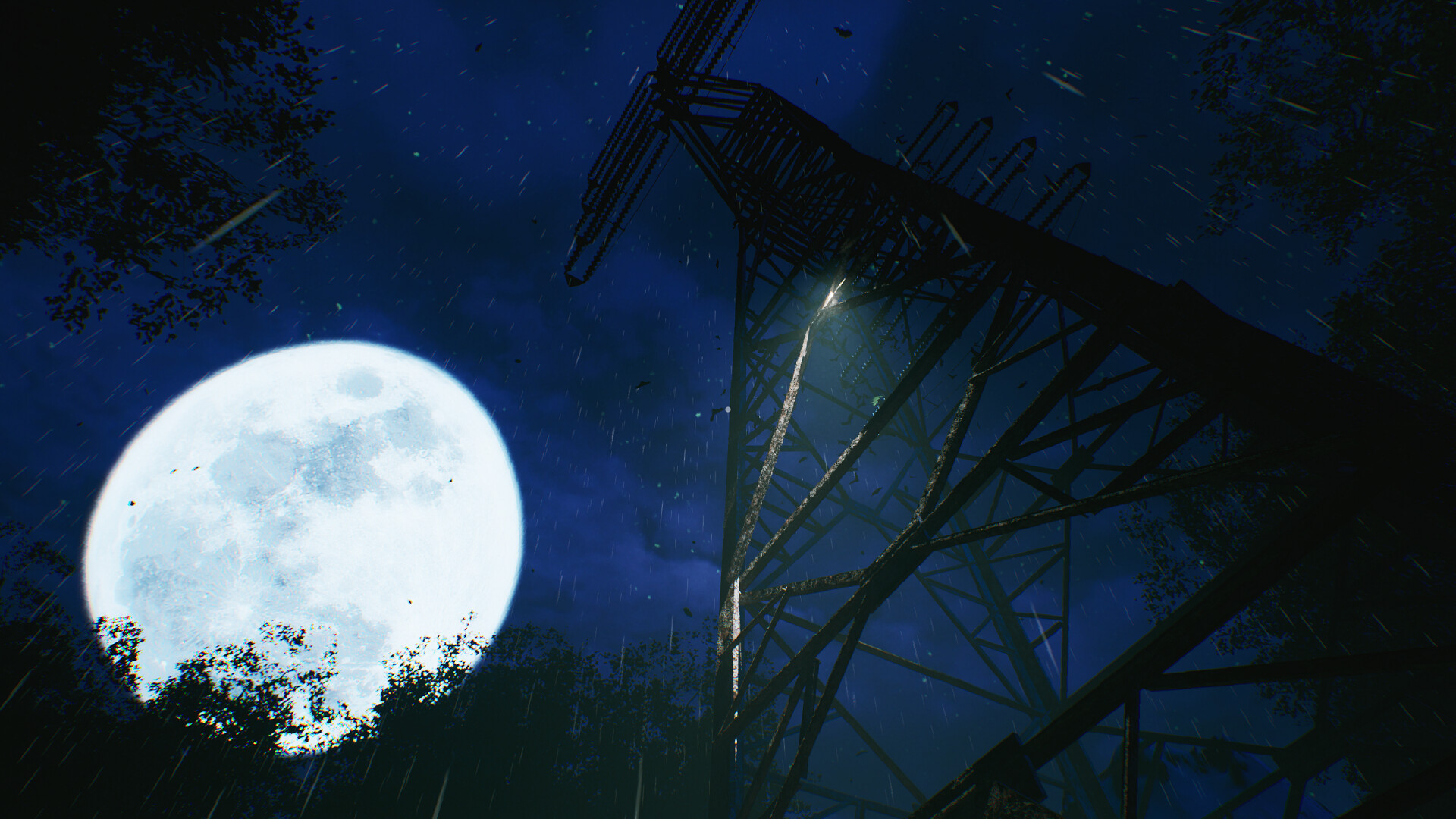 沉没的森林/The Sinking Forest