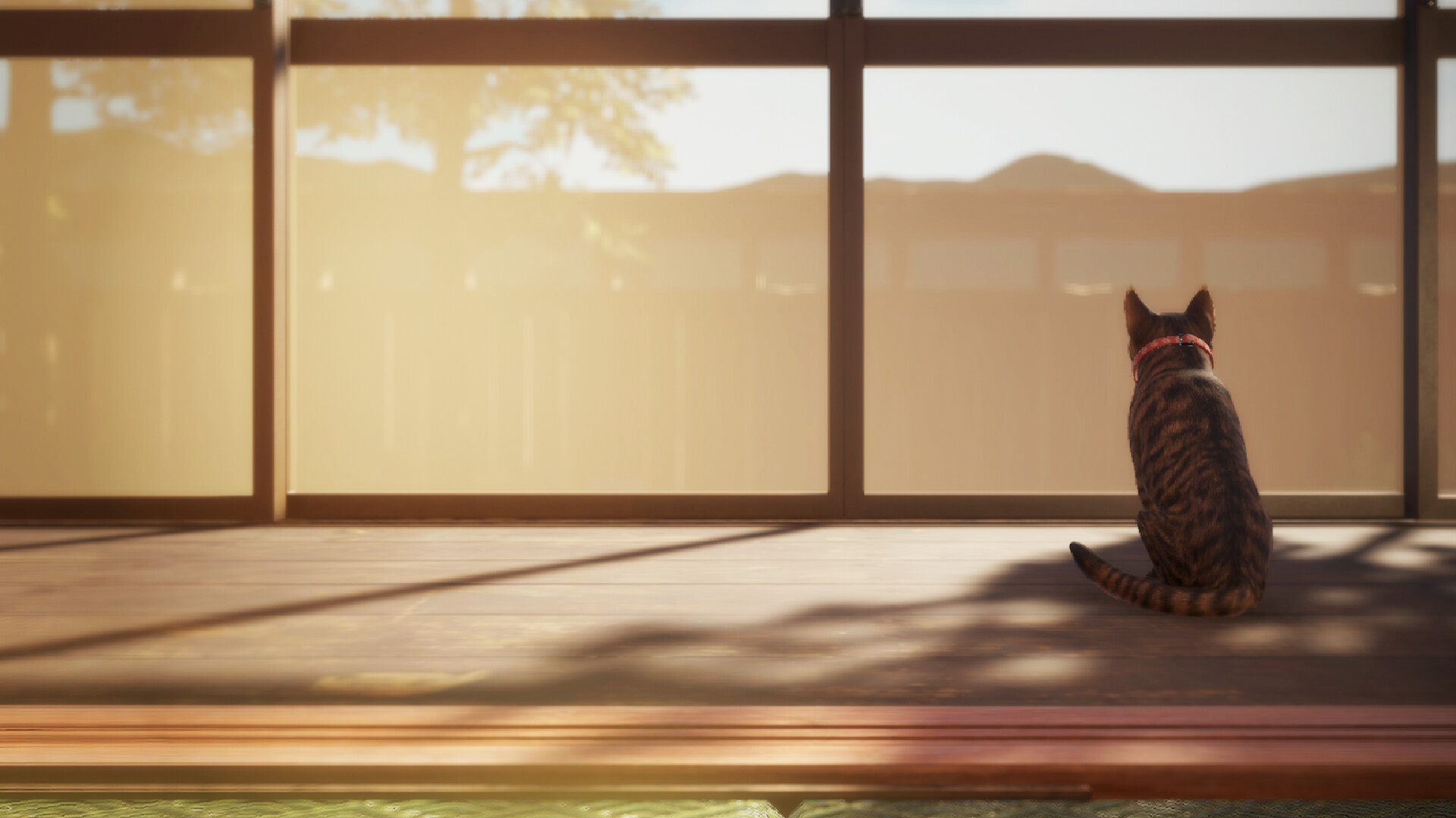 猫还在逃吗？/Still It Runs