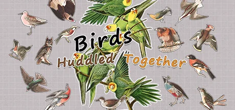挤在一起的鸟鸟/Birds Huddled Together