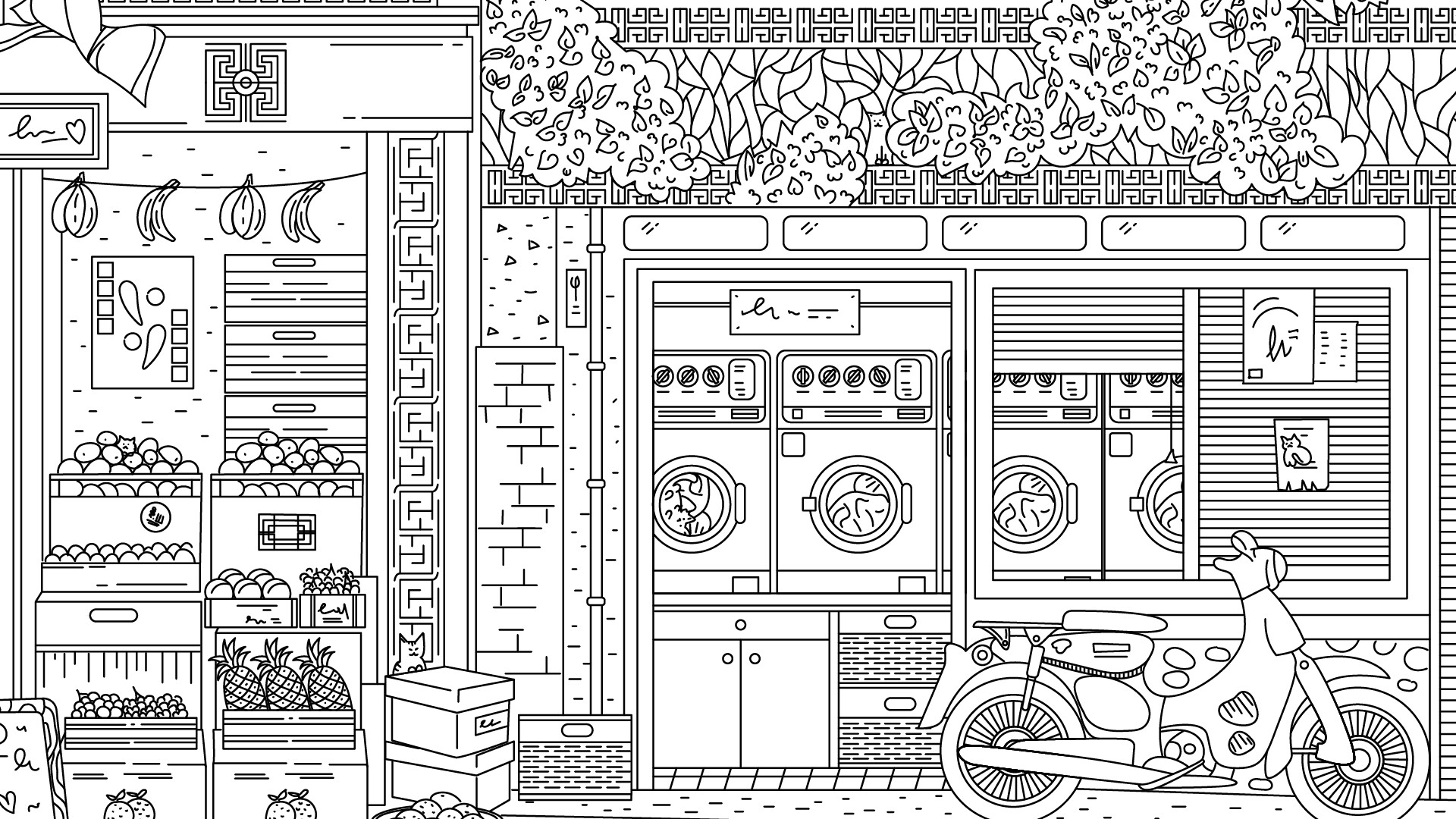 隐藏在中国的猫/Cats Hidden in China