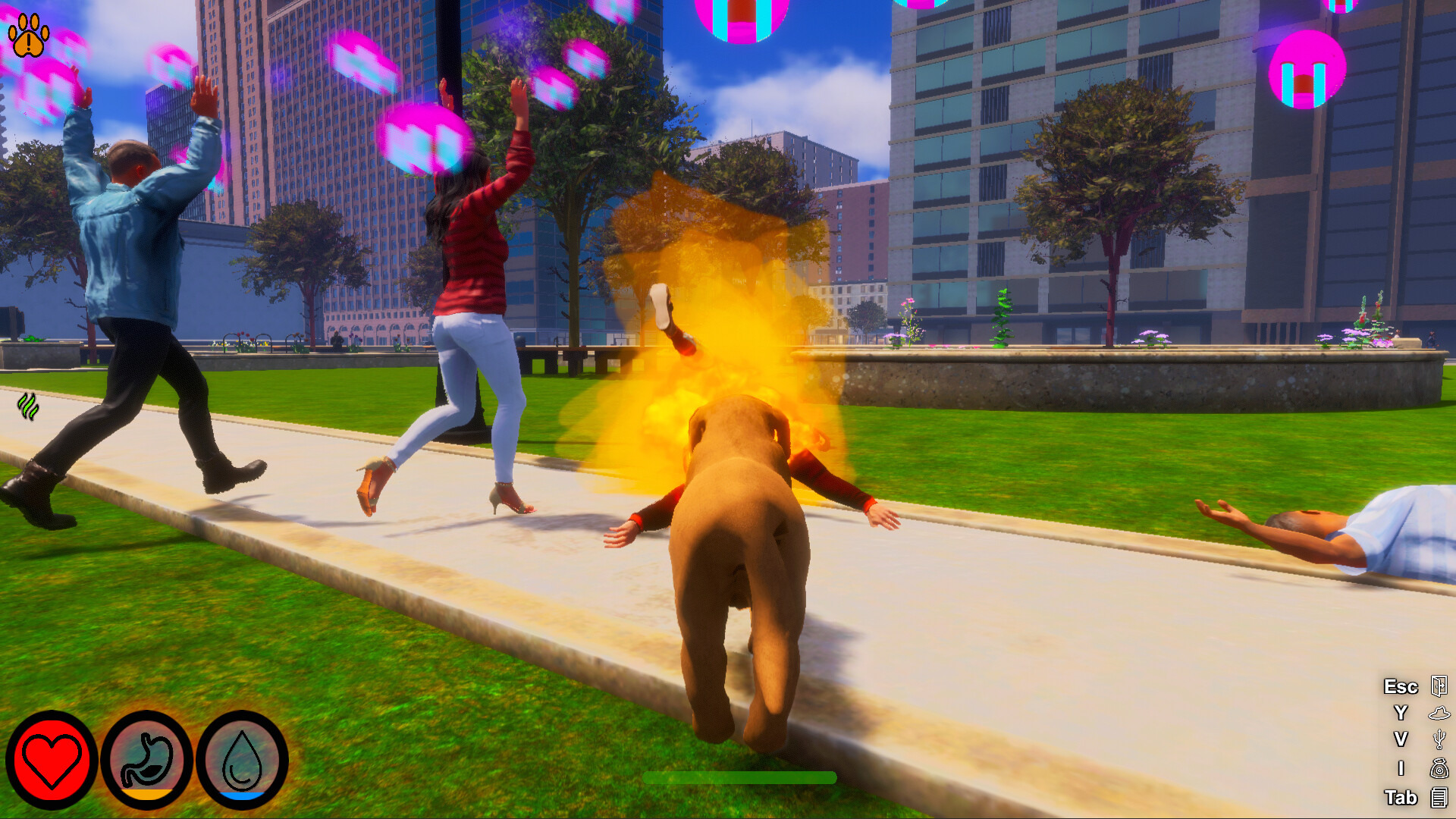 迷途狗爪/Lost Paws