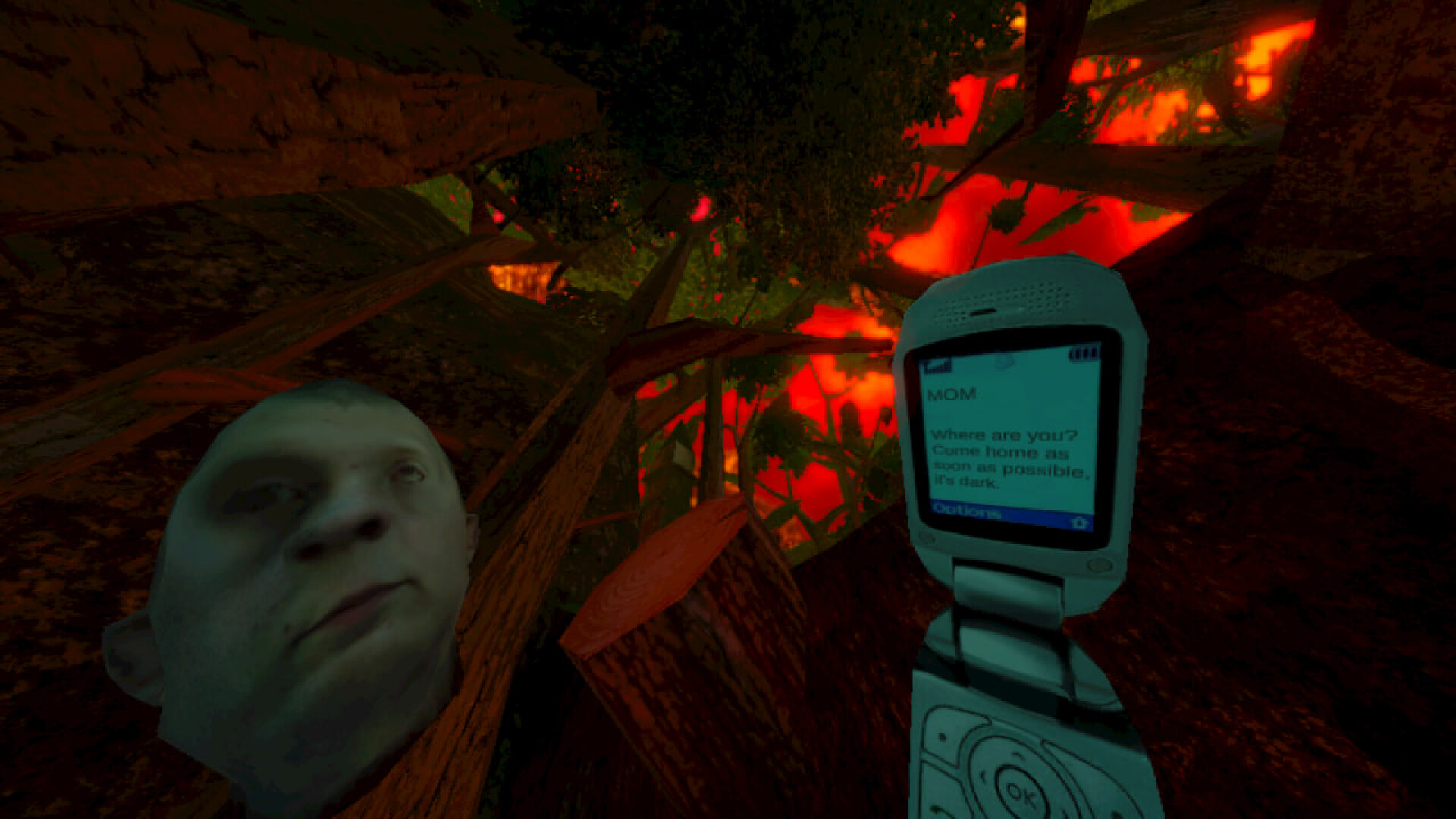 暴煞狂想2/Violent Horror Stories