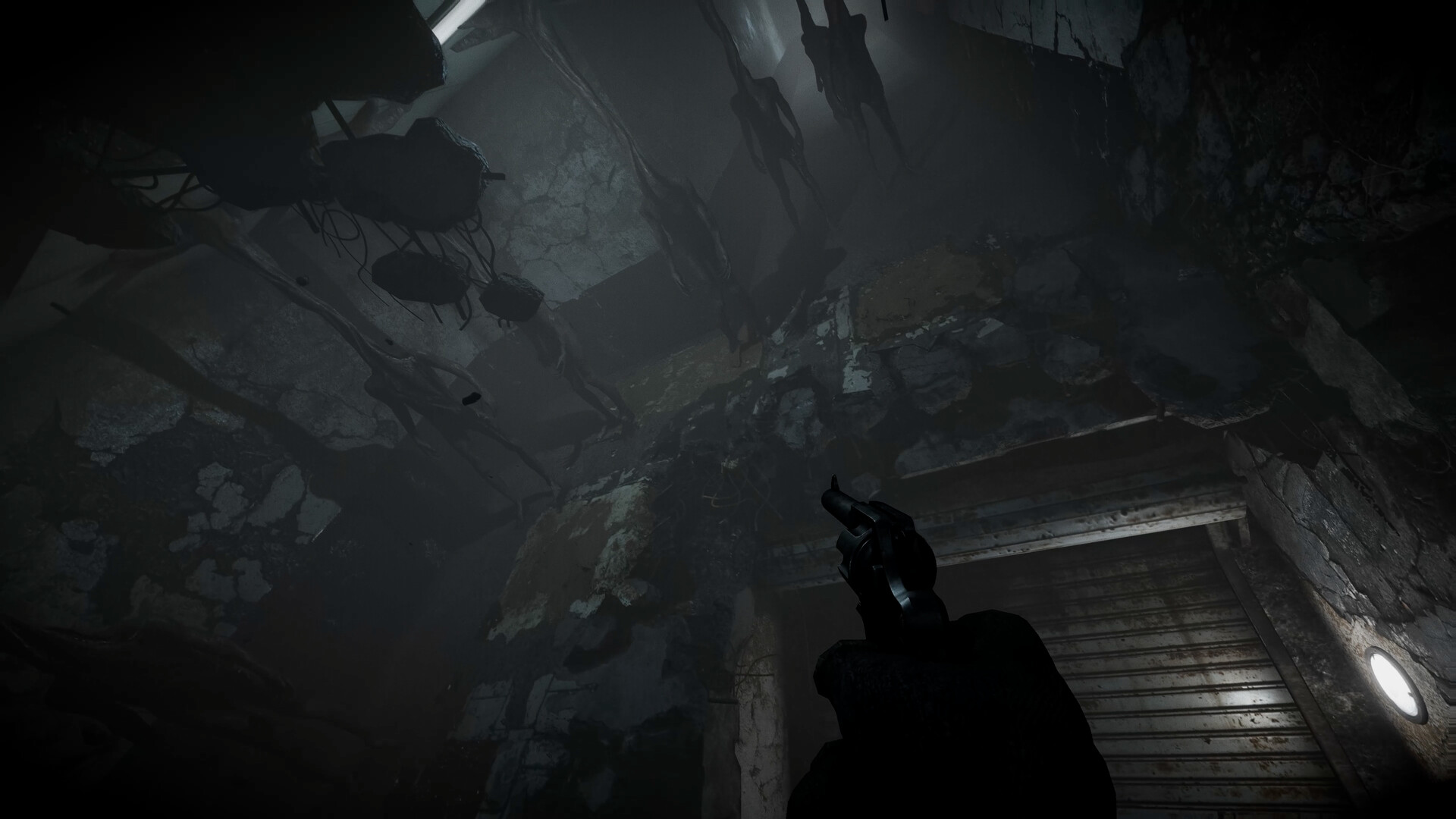 全面混沌/Total Chaos