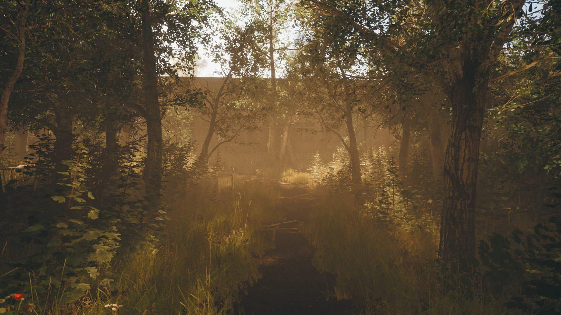 我的碎片/Pieces of me