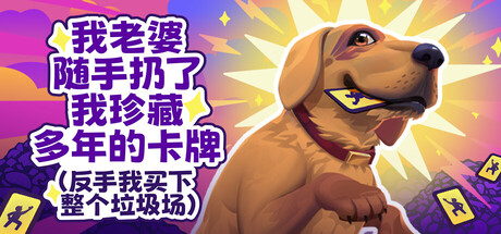 老婆随手扔了我多年珍藏卡牌/My Wife Threw Out My Card Collection