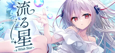 流星 -a wish star-/流る星 -a wish star-